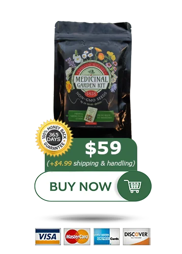 energy revolution system program